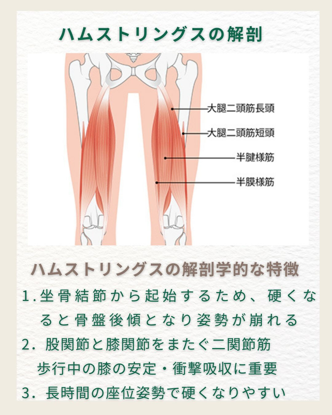 #理学療法士、#トレーニング、#リハビリ、#腰痛、#cms